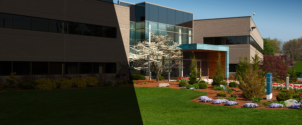 Aliso Viejo Landscapers