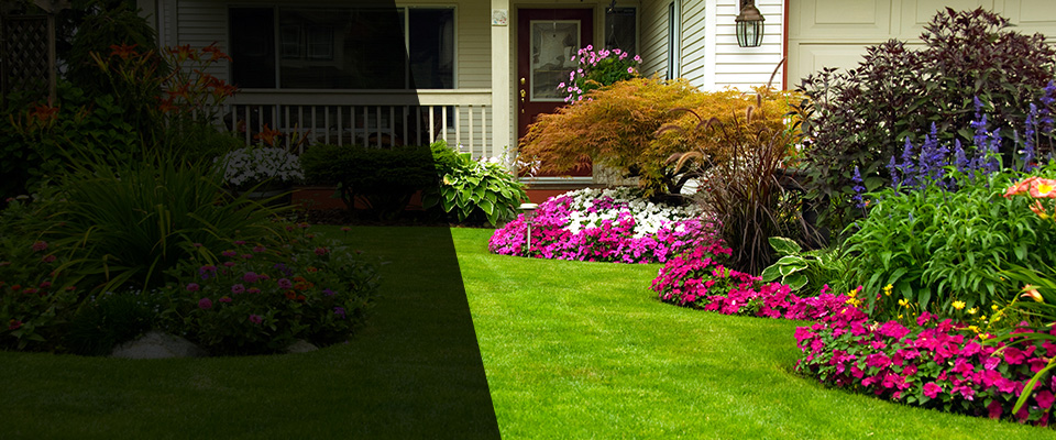 Aliso Viejo Landscapers